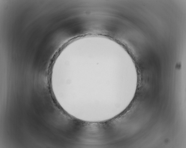 X0000103230828200808280948