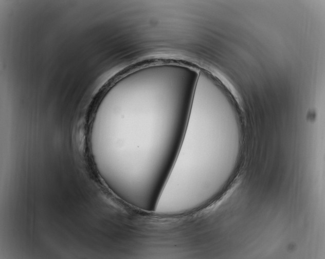 X0000103230829200808280948