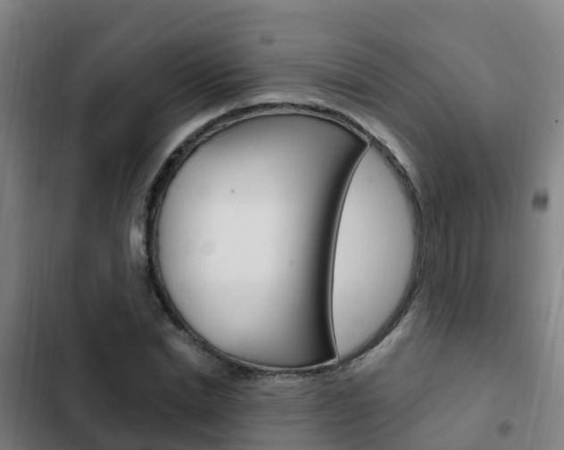 X0000103230830200808280948
