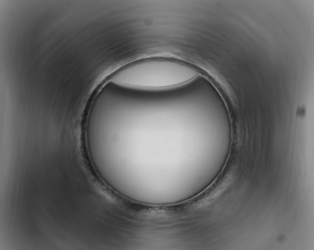 X0000103230834200808280948