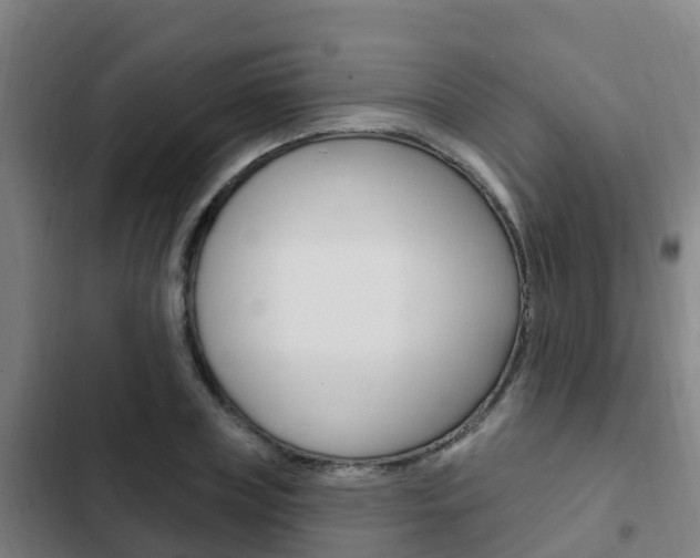 X0000103230835200808280948
