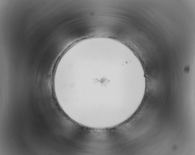 X0000103230836200808280948