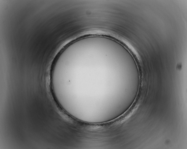 X0000103230837200808280948