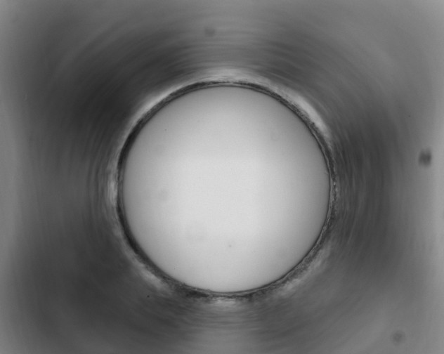 X0000103230839200808280948