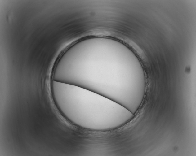 X0000103230840200808280948