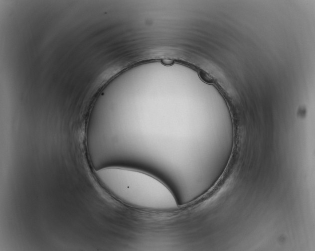 X0000103230841200808280948