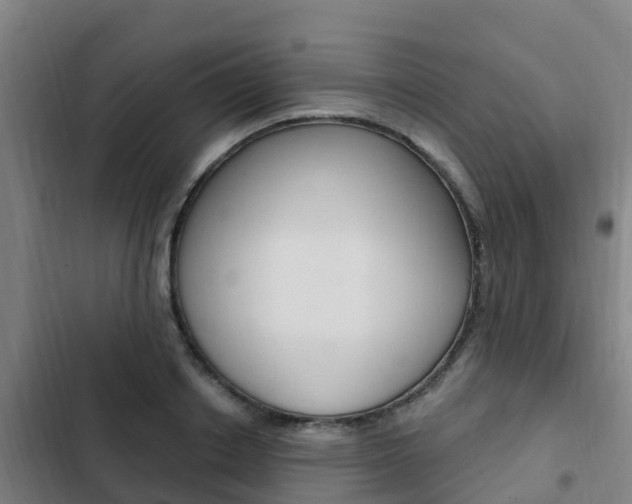 X0000103230842200808280948