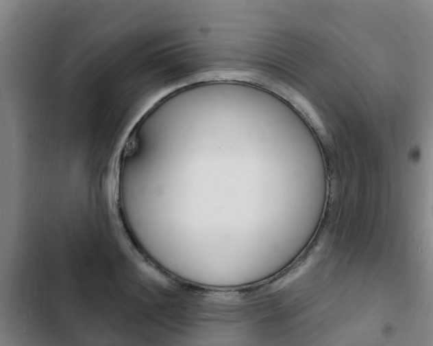 X0000103230844200808280948