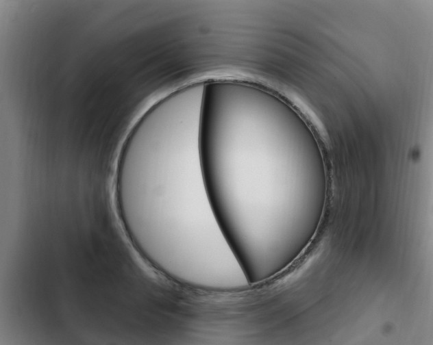 X0000103230845200808280948