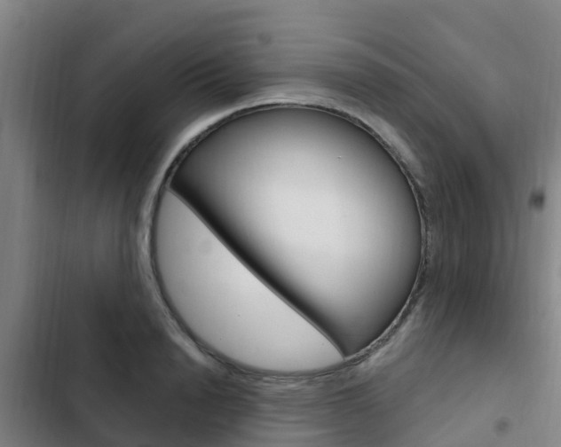 X0000103230846200808280948