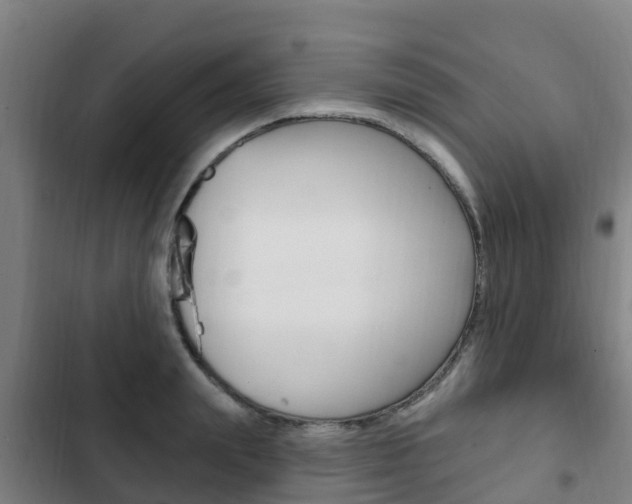 X0000103230847200808280948
