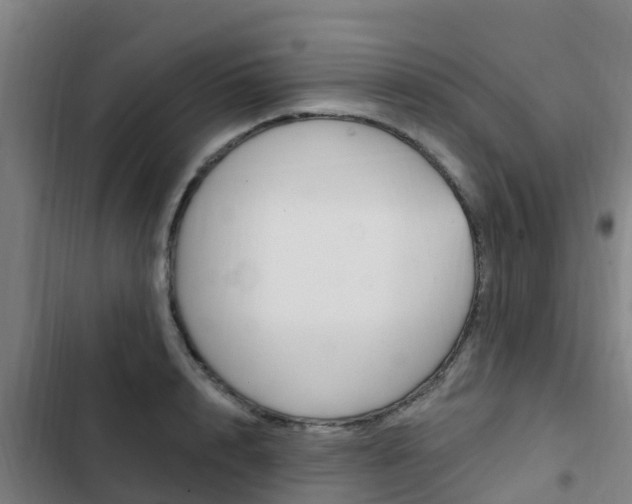 X0000103230848200808280948