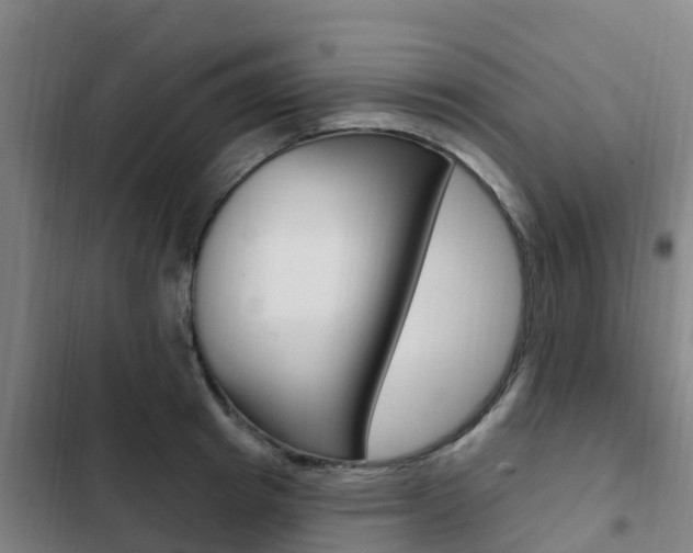 X0000103230849200808280948
