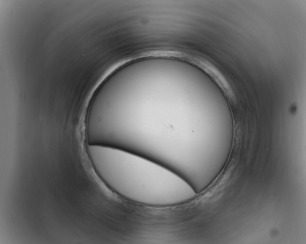 X0000103230852200808280948