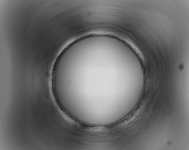 X0000103230853200808280948
