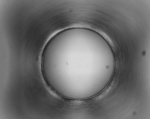 X0000103230854200808280948