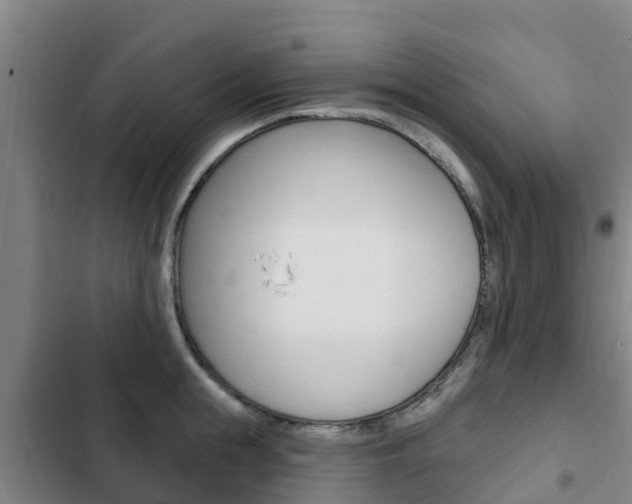 X0000103230855200808280948