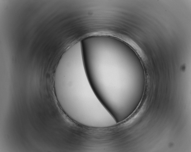 X0000103230857200808280948