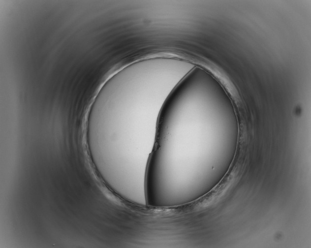 X0000103230858200808280948