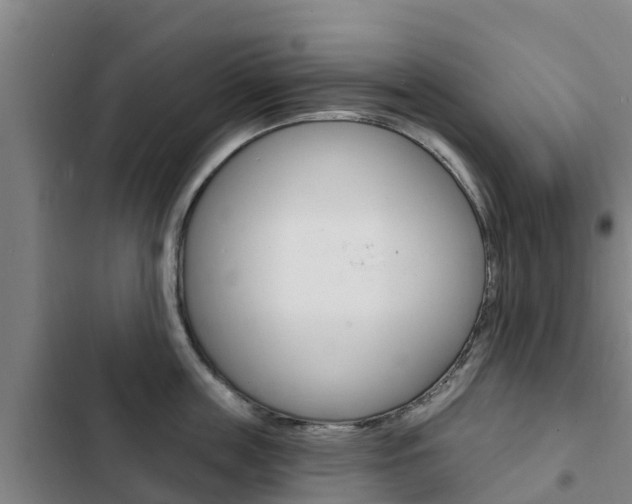 X0000103230859200808280948