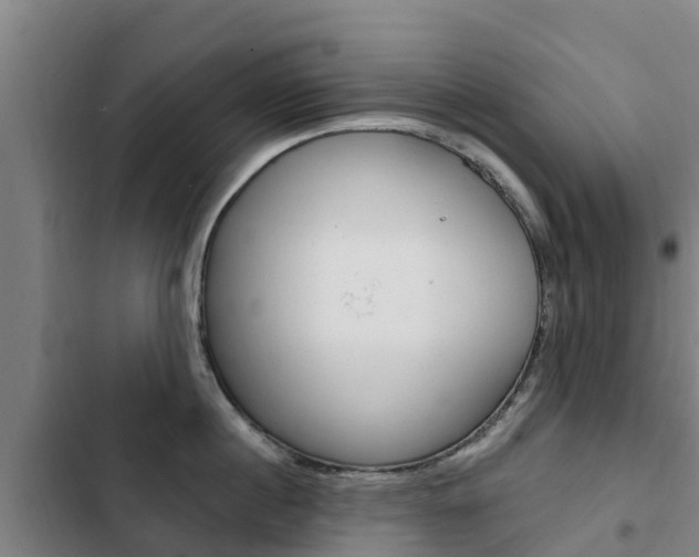 X0000103230860200808280948