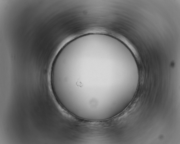 X0000103230861200808280948