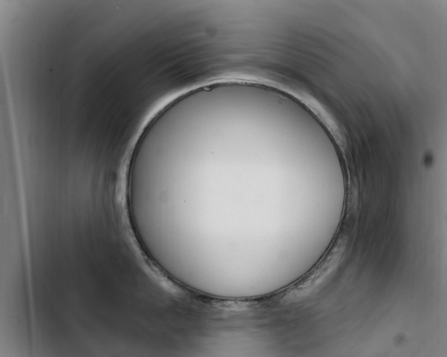 X0000103230862200808280948
