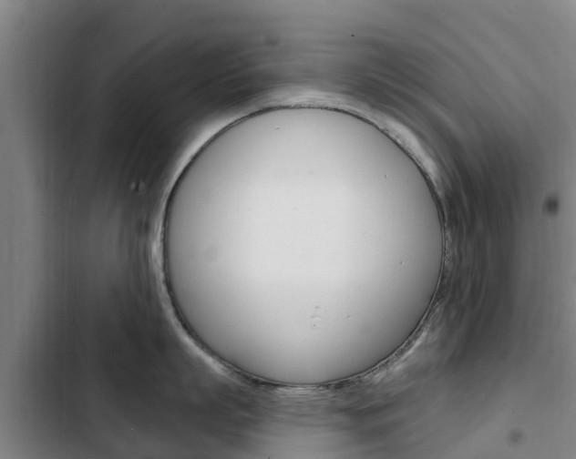 X0000103230863200808280948