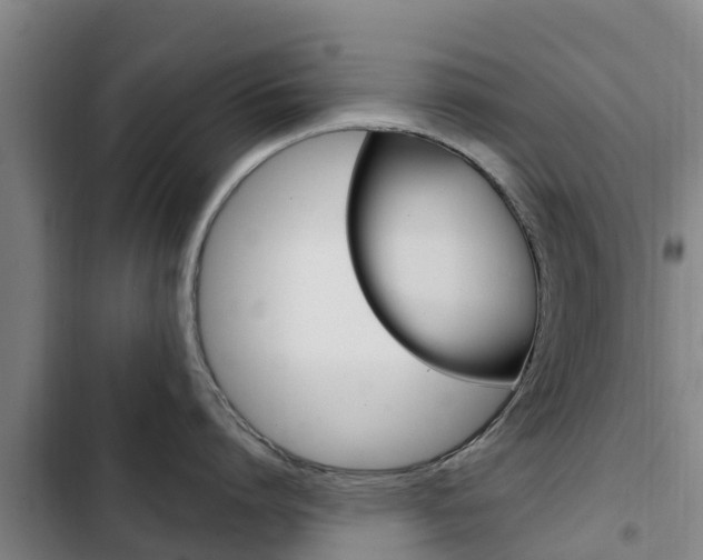 X0000103230864200808280948