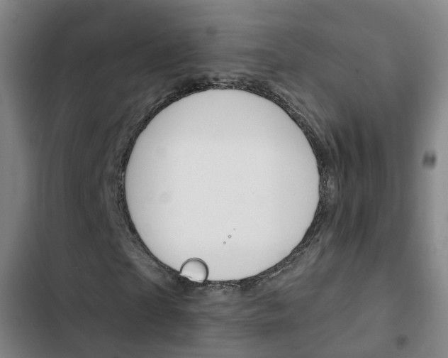 X0000103230865200808280948