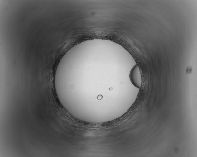 X0000103230866200808280948