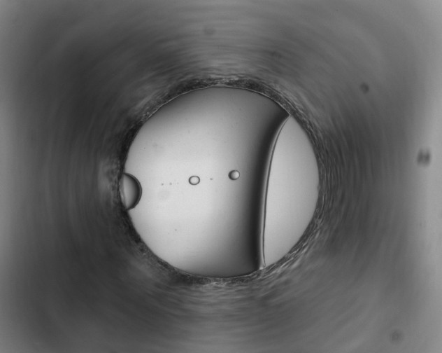 X0000103230867200808280948
