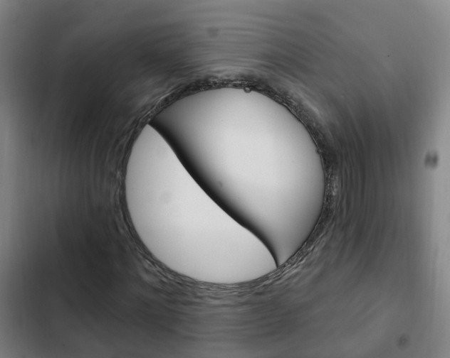 X0000103230868200808280948