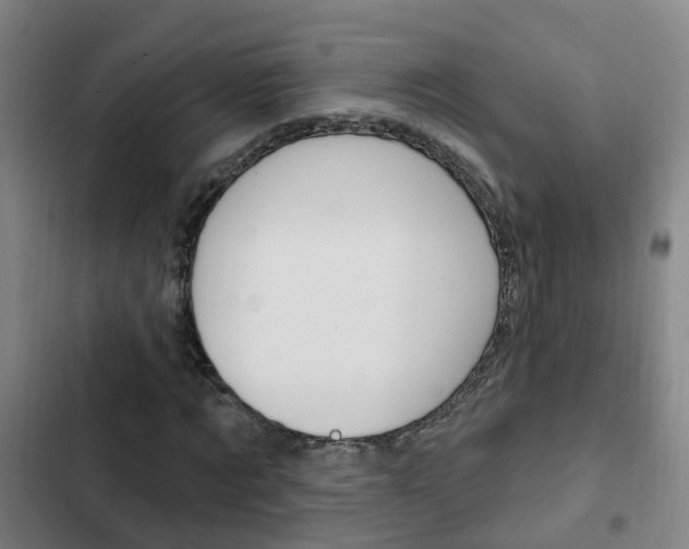 X0000103230869200808280948
