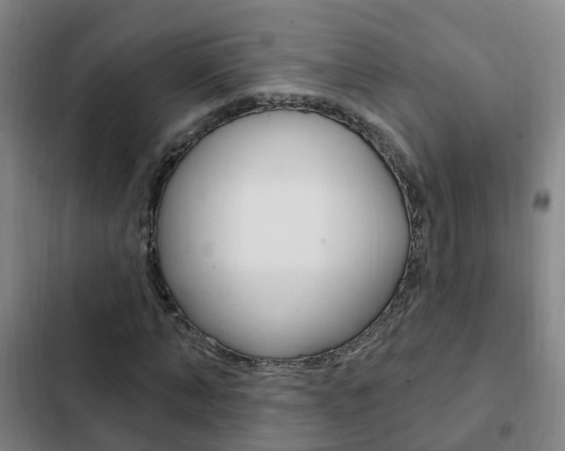 X0000103230870200808280948