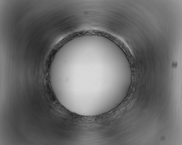 X0000103230871200808280947