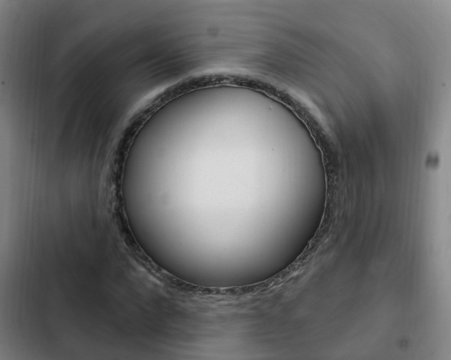 X0000103230872200808280947