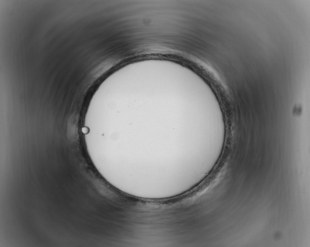 X0000103230873200808280947