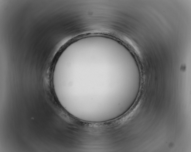 X0000103230875200808280947