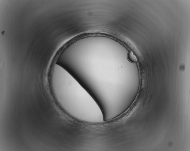 X0000103230876200808280947