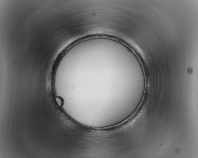 X0000103230877200808280947
