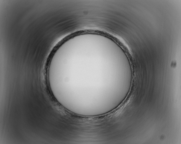 X0000103230879200808280947