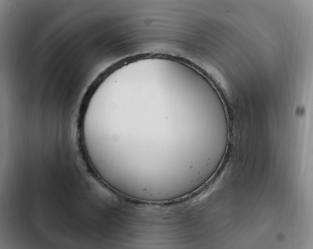 X0000103230880200808280947