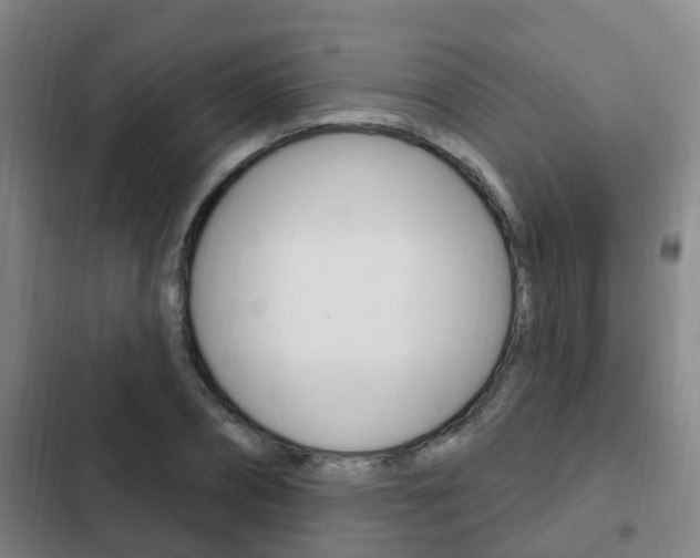 X0000103230882200808280947