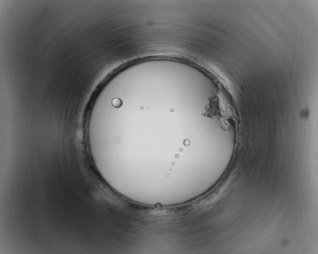 X0000103230883200808280947