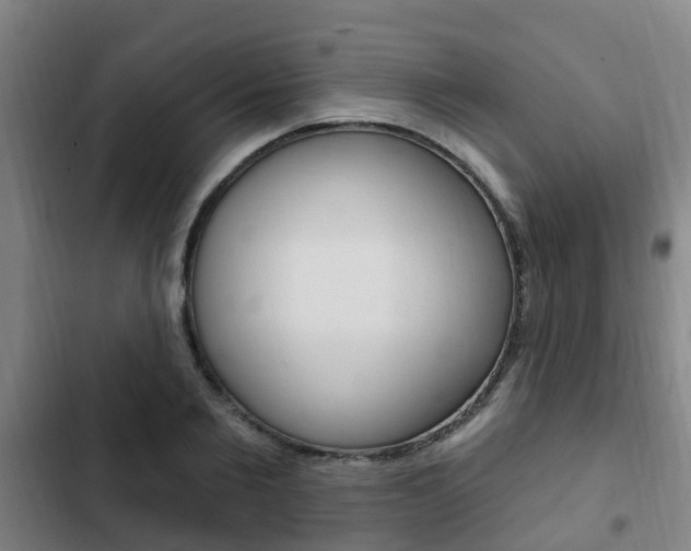 X0000103230885200808280947