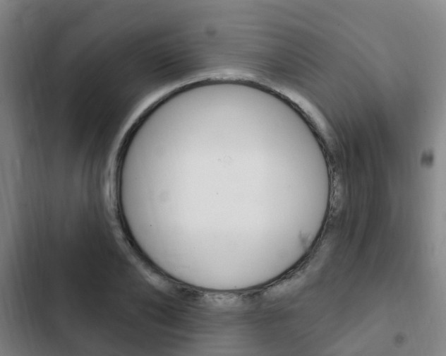 X0000103230886200808280947