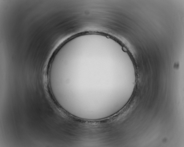 X0000103230887200808280947