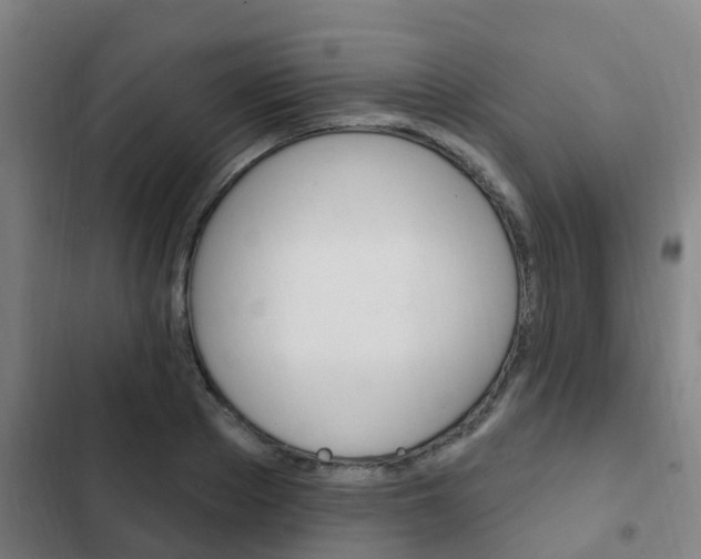 X0000103230889200808280947