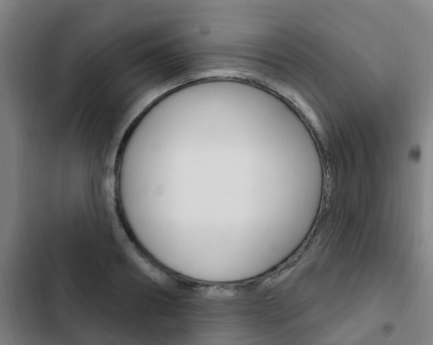 X0000103230890200808280947